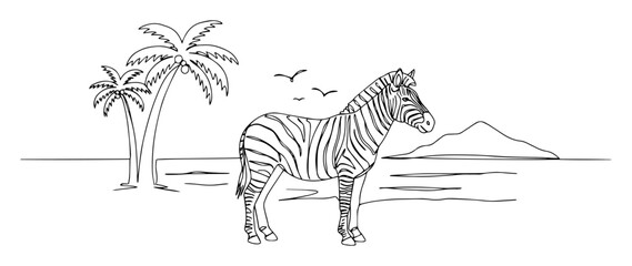 zebra at beach vector thin line © Wieslaw