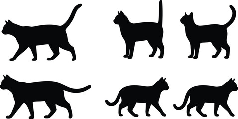 Set of cat silhouettes walking and standing in different poses isolated on white background © MdRobiul