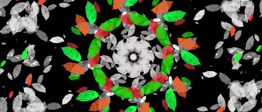 Colorful digital kaleidoscope animation loop with green and red leaf patterns, hand drawn motion graphics