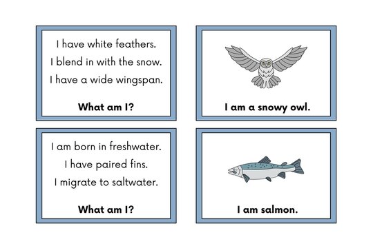 Educational animal riddle cards with owl and salmon illustrations