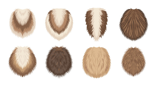 A set of eight circular swatches displays diverse textures of animal fur in various shades of brown, white, and cream on a clean white background surface.