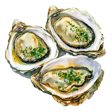 Watercolor illustration painting of Oysters Rockefeller, minimal, isolated on a white background.
