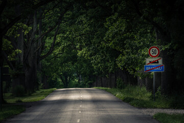 Fototapeta premium Tree-lined road with a speed limit sign indicating 50 km/h and a town sign for Brande, surrounded by lush greenery and dappled sunlight filtering through the leaves