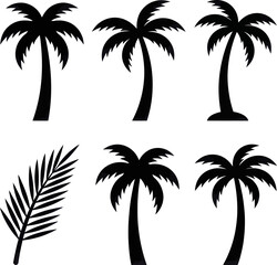 Fototapeta premium A set of black palm tree silhouettes on a white background includes vector file