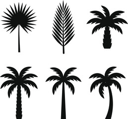 Fototapeta premium A collection of six palm trees in various silhouettes on a white background vector file