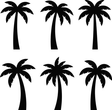 Six black palm trees stand against a white background in a vector file.