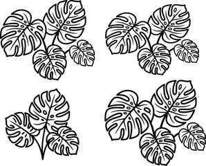 Fototapeta premium black and white plants