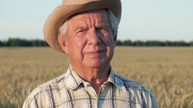 Old caucasian farmer with gray hair and tanned face wearing a straw hat and plaid shirt looking at the camera. Man standing in golden wheat field during beautiful sunset, feeling content and proud