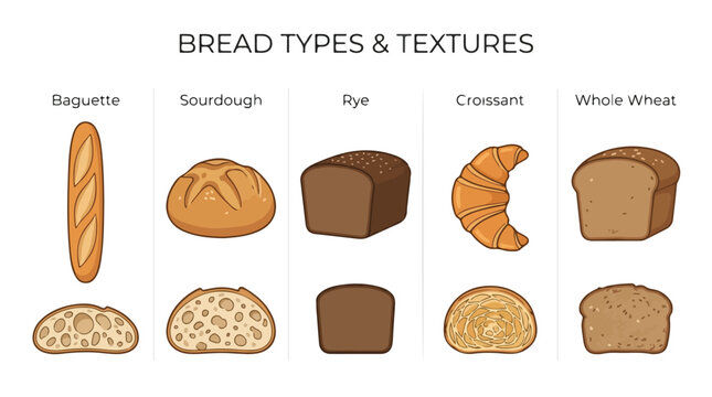Collection of different bread types and textures including baguette sourdough rye croissant and whole wheat bread illustrations.