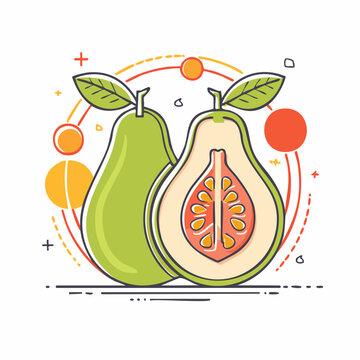 Stylized Guava Fruit Illustration