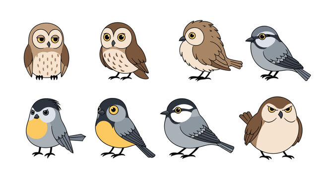 Small birds and owls cartoon set including various species like chickadees and tits with expressive eyes and colorful feathers.