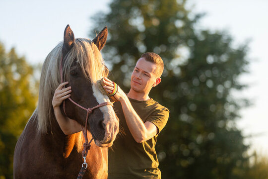 Man caring for horse during hippotherapy session on sunny day. Animal assisted therapy, rehabilitation, outdoor activity and healthcare concept.