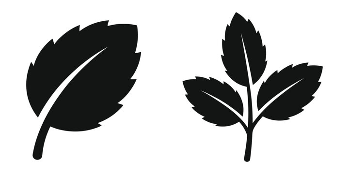 Mint leaf icon silhouette vector isolated illustration design