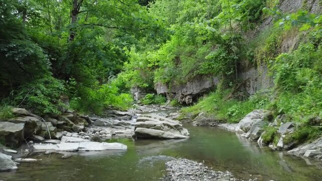 Cinematic drone footage flying low over a crystal-clear mountain river rushing through a rocky canyon. The camera captures the rapid water flowing over stones, surrounded by lush green forests and ste