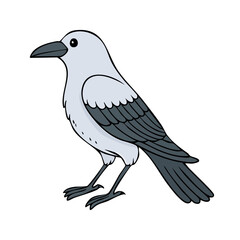 Fototapeta premium Cute Cartoon Bird with Gray and White Feathers Standing with Webbed Feet