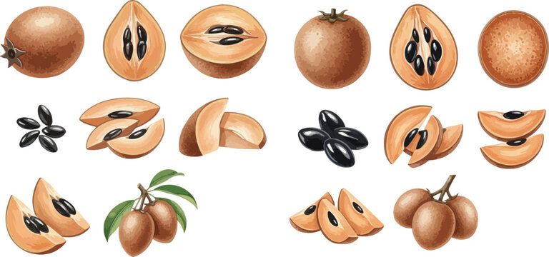 Set of fresh sapodilla fruits, whole and sliced, with seeds and leaves, on a white background.