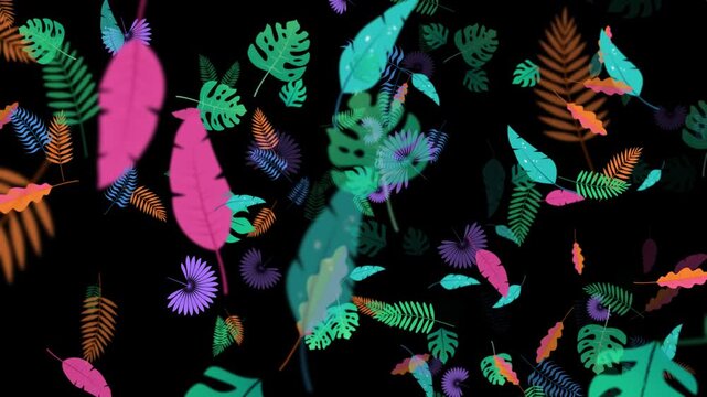Colorful summer background with tropical leaves. Hello Summer concept design. Botanical jungle leaves and floral frame for summer sale animation. Modern trendy minimal design. 2d animation style
