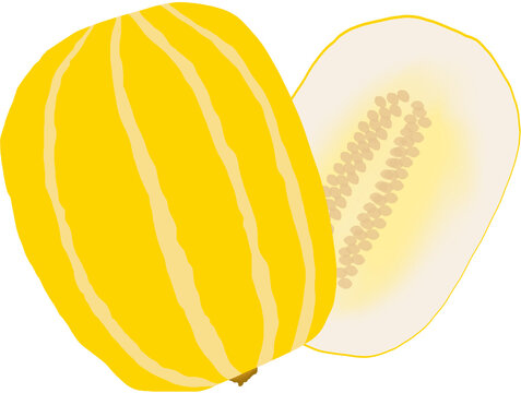 korean melon