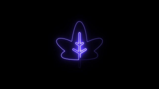Abstract blue neon outline of a leaf shape image photo