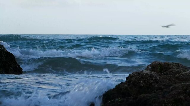 Ocean waves crash against dark rocky formations along the coastline under a dim twilight sky. annaba, algeria
