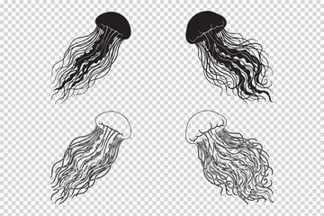 Obraz premium Set of four hand-drawn jellyfish illustrations black and white vector graphics for marine life design isolated on transparent background