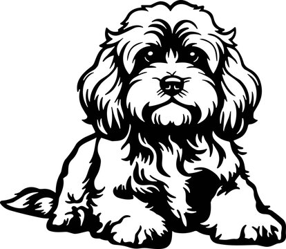 cockapoo svg, cavapoo svg, maltipoo svg, goldendoodle svg, labradoodle svg