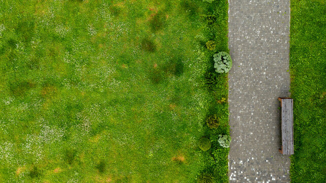 Park green grass lawn with paved sidewalk pathway and wooden bench, top view aerial perspective illustrating nature, urban planning, and relaxation concepts
