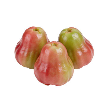 Three fresh organic rose apples wax apples water fruit isolated on white background for healthy diet