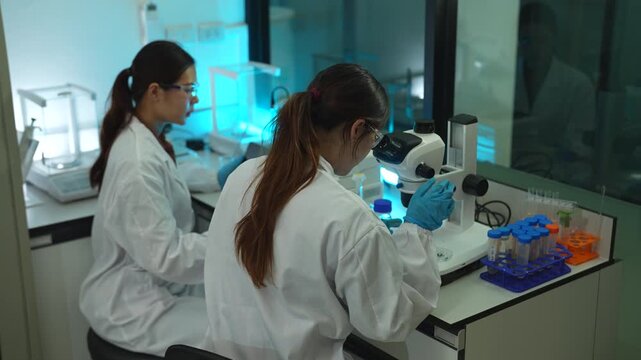 Asian female agronomist using pipette to apply liquid solution on leaf sample, agricultural biotechnology and gene editing concept.