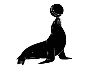 Seal balancing a ball on nose. © syafiul