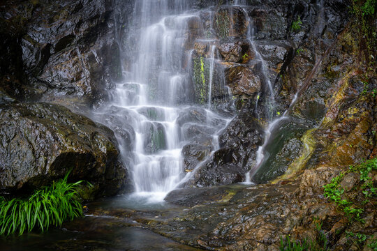 Serene waterfall cascading over mossy rocks in a lush natural environment