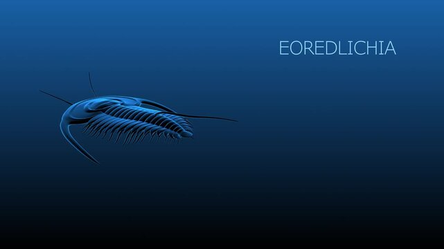 3D schematic animation of a prehistoric trilobite crawling. Extinct marine arthropod in its natural Paleozoic habitat with underwater plants and sunlight rays. 