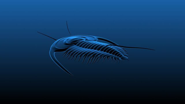 3D schematic animation of a prehistoric trilobite crawling. Extinct marine arthropod in its natural Paleozoic habitat with underwater plants and sunlight rays. 