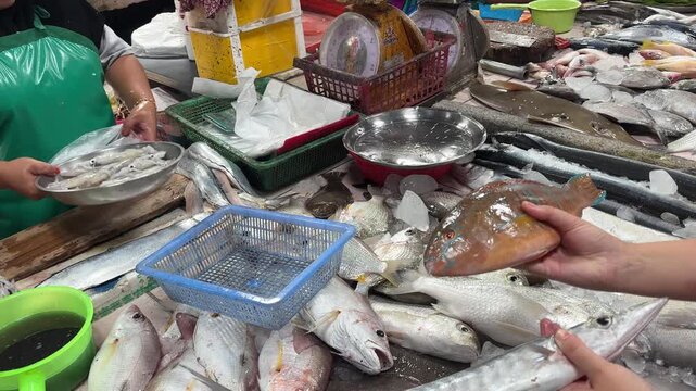 A woman chooses between barracuda and parrotfish at a local seafood market, showing fresh fish selection and everyday shopping in an Asian fish market.