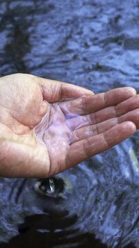 Close up of a man hands catching water from mountain river