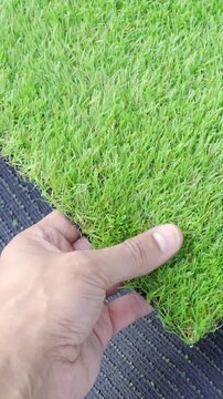 Hand holding an artificial grass roll. Greenering with an artificial turf