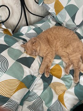 chat