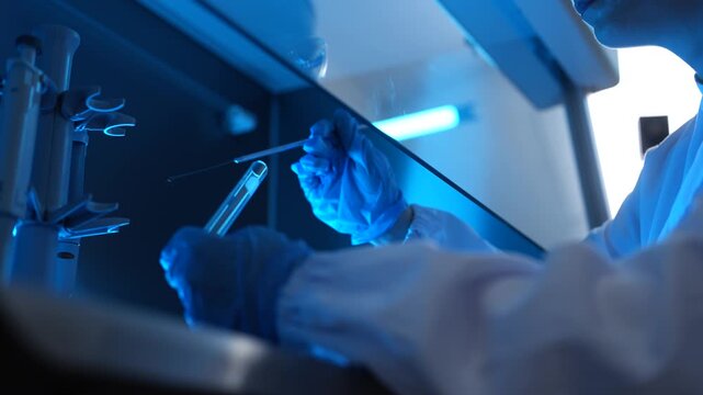 Biomedical scientist using pipette to extract blue fluid sample, vaccine development and biotechnology research.