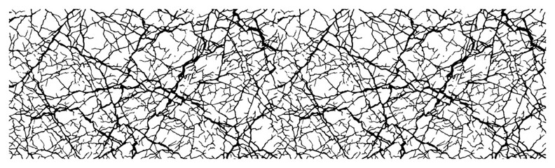 Obraz premium Intricate branching root network pattern background for organic nature concept in black and white line art style