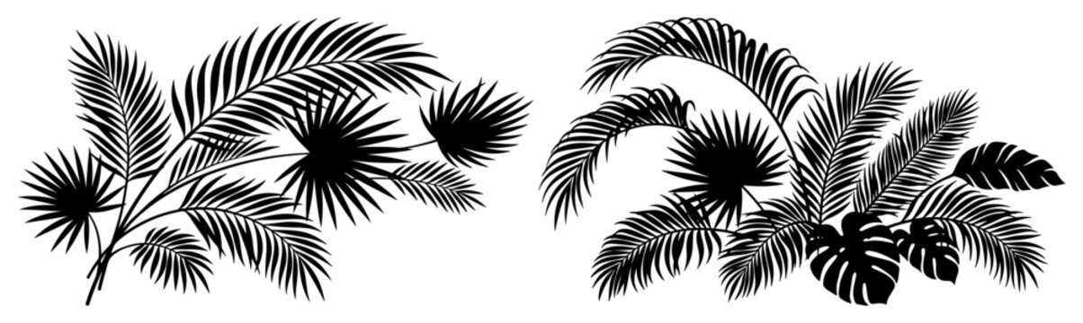 Tropical palm tree branches and monstera leaves in minimalist silhouette style