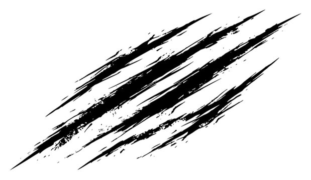Animal claw scratch marks with ripped edges in distressed grunge style