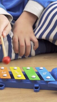 Adorable hispanic toddler playing xylophone sitting at home