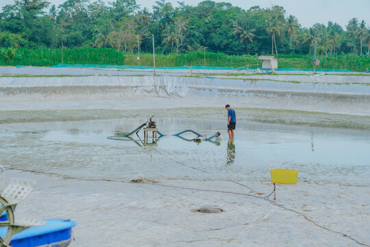 A person is draining water from a pond after harvesting fish...