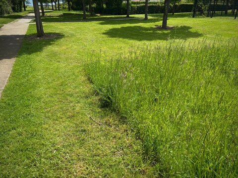 urban differentiated mowing 