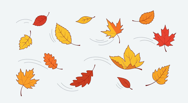 Autumn Leaves Falling in Wind
