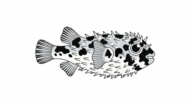 A cartoonish pufferfish with spikes and black and white patches