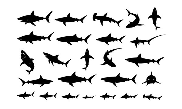 Shark Silhouette Bundle PNG transparent background 