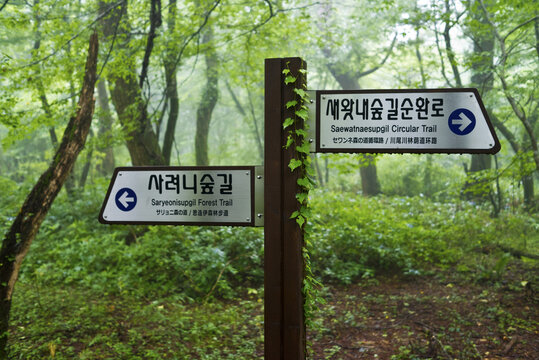 표지판,새왓내숲길순환로,사려니숲길,제주도