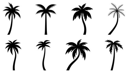 Fototapeta premium Palm trees in black and white set isolated on a transparent background. Palm black and white. Vector illustration of tropical plants. Palm tree silhouette vectors set. Tropical coconut tree black 