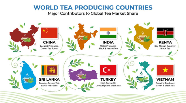 Global tea production leaders major tea exporting countries top tea market share contributors